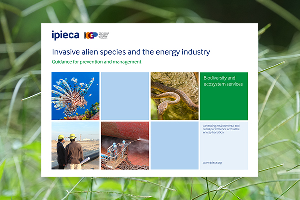 Webinar Launch Of Ipieca Iogp Invasive Alien Species And The Energy